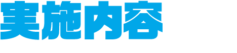 実施内容